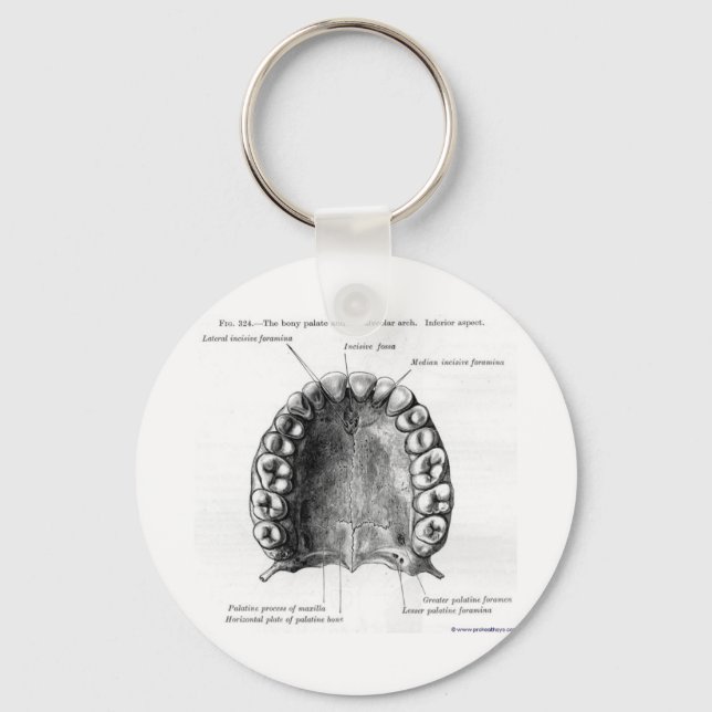 Mouthy Key Ring (Front)