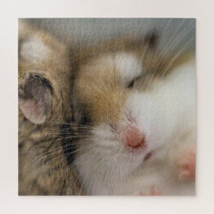 Move over Bob   Jigsaw Puzzle