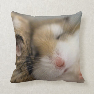 Move over Bob pillow