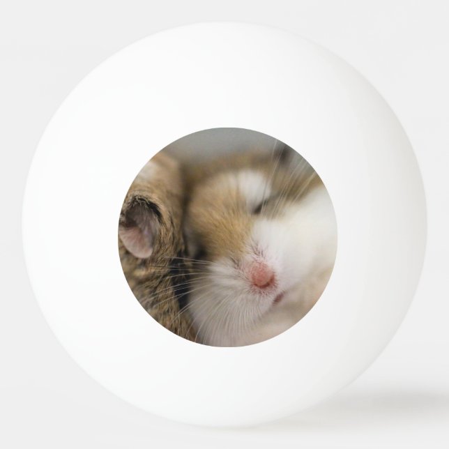 Move over Bob   Ping Pong Ball (Front)