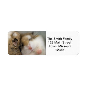 Move over Bob Return Address Label