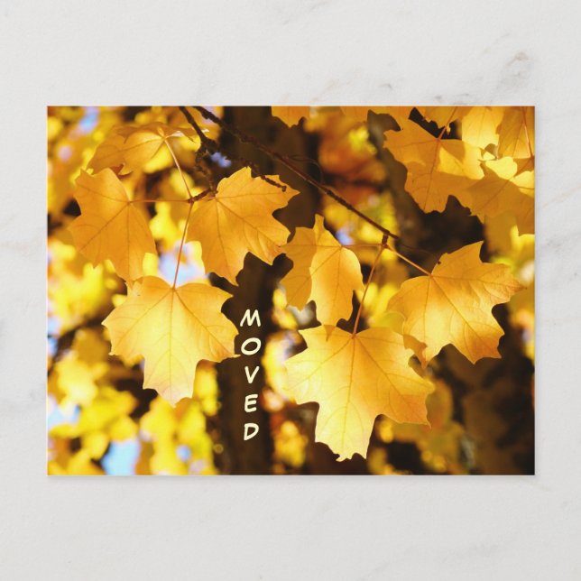 Moved Postcards custom Moving New Address Autumn (Front)