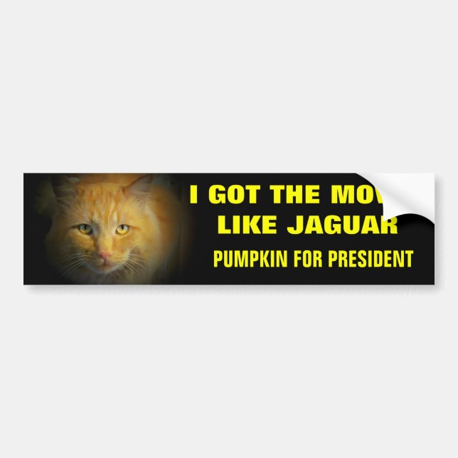 Moves Like Jaguar Pumpkin for President Bumper Sticker (Front)