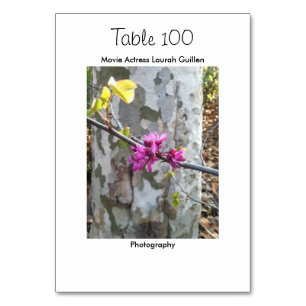 Movie Actress Laura Guillen aka Ishah Table Number