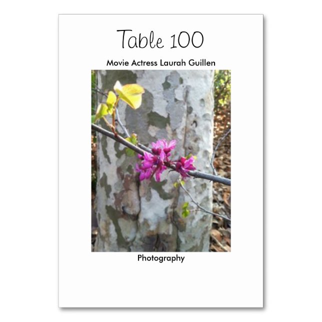 Movie Actress Laura Guillen aka Ishah Table Number (Back)