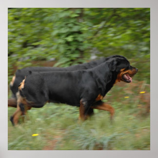 Movin' in the yard poster