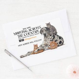 Moving Across the Country Great Dane & Cat Rectangular Sticker