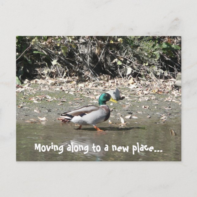 Moving along to a new place... announcement postcard (Front)