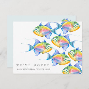 Moving Announcement Cards Colourful Tropical Fish