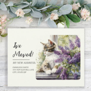 Moving Announcement Cat Window Lavender Flowers Postcard