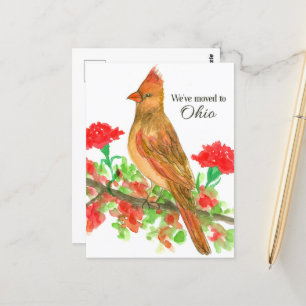 Moving Announcement Ohio Cardinal Red Carnations Postcard