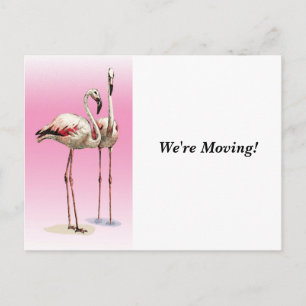 Moving - Changing Homes - Postcard