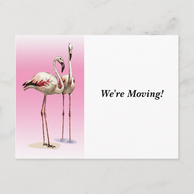 Moving - Changing Homes - Postcard (Front)