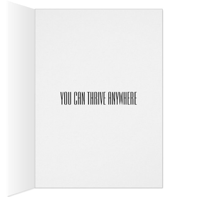 Moving, Changing Jobs, Changing Careers, Divorce (Inside (Right))