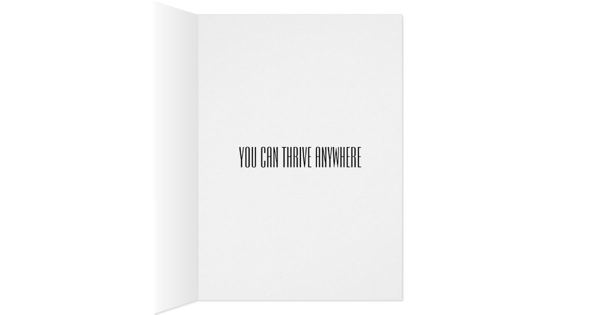 moving, changing jobs, changing careers, divorce greeting card, Greeting card