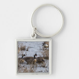 Moving In Key Ring