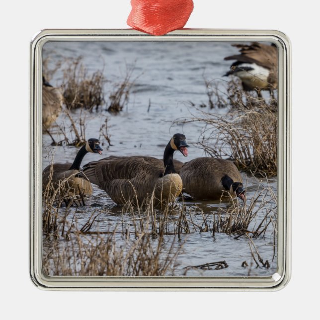 Moving In Metal Ornament (Front)
