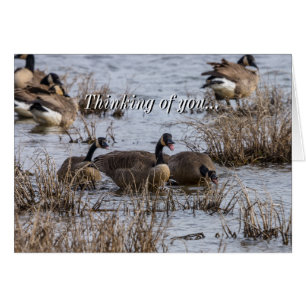 Moving In Thinking Of You Card