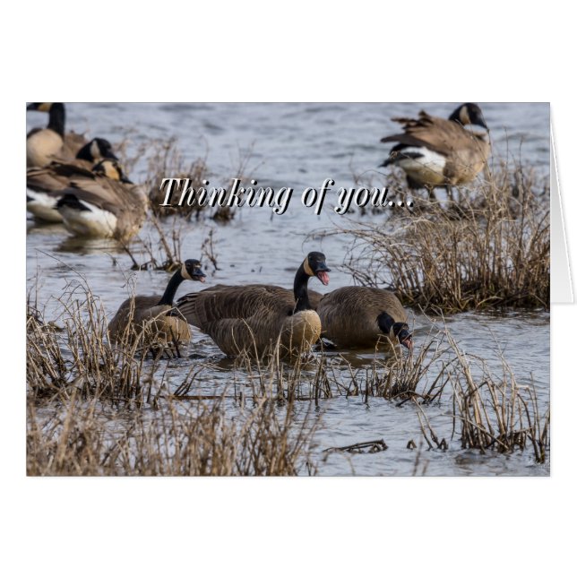 Moving In Thinking Of You Card (Front Horizontal)