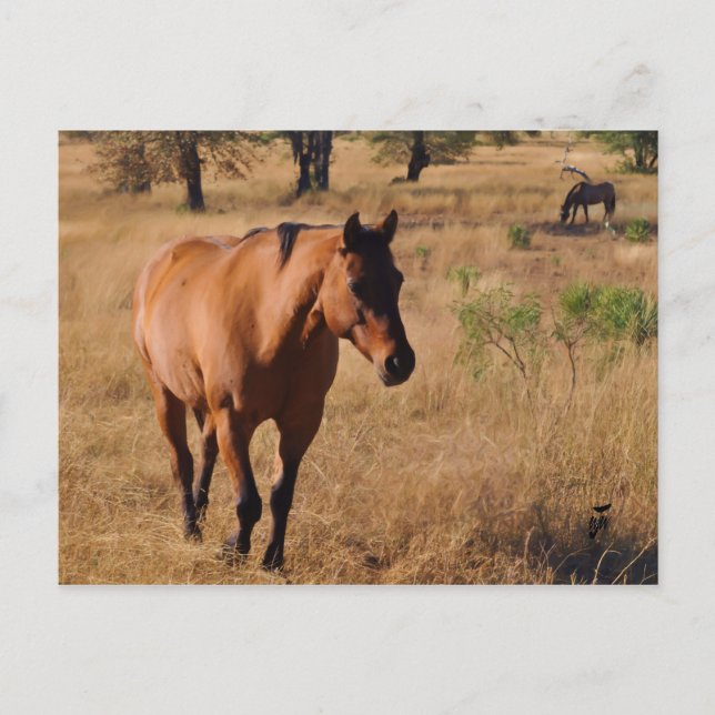 moving on announcement postcard (Front)