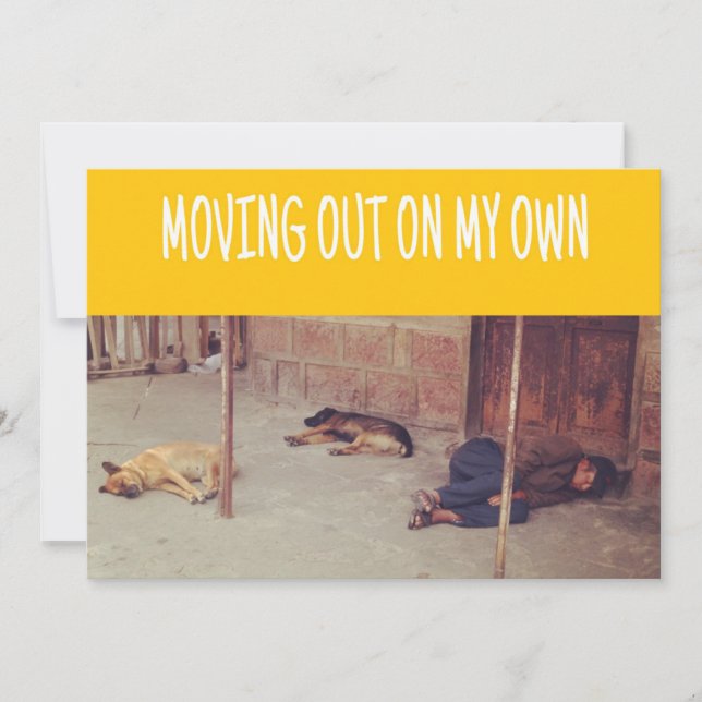 Moving Out Announcement (Man and dogs on street) (Front)