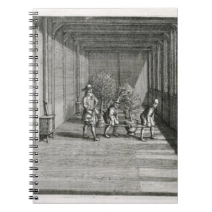 Moving trees into the garden for summer, from 'De Notebook