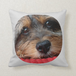 Moxi Clean as a Whistle Shorkie Pillow