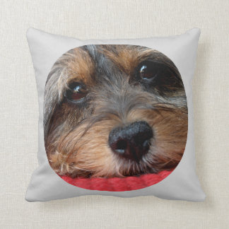 Moxi Clean as a Whistle Shorkie Pillow