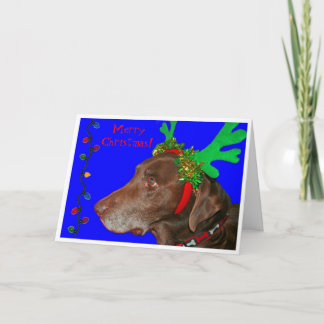 Moxie 20103, Merry Christmas! Holiday Card