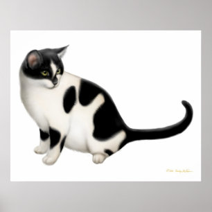 Moxie the Tuxedo Cat Print