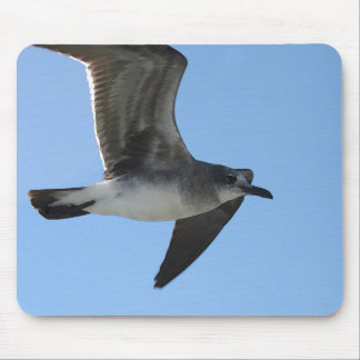 MP 6482 Gull 1 WC Mouse Pad