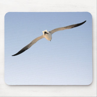 MP 6538 Seagull Watercolor Styel Mouse Pad