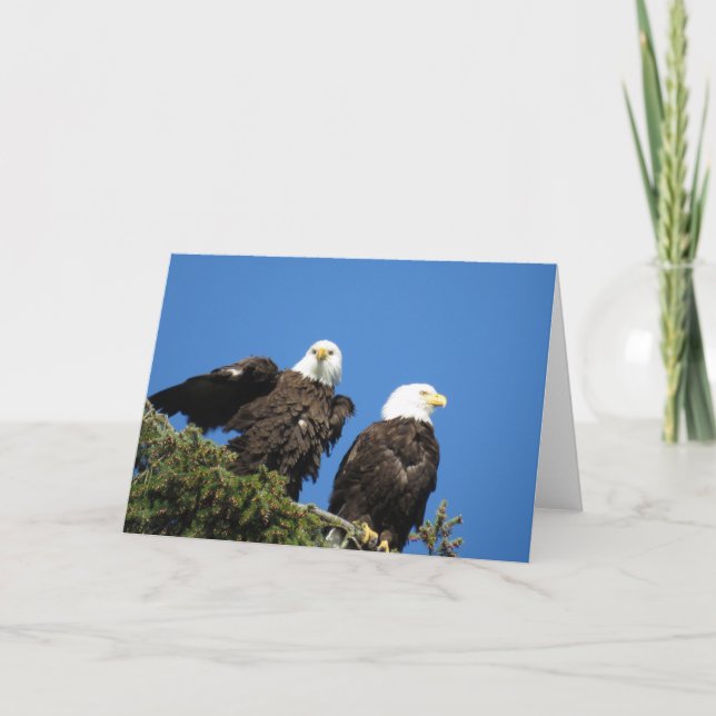Mr and Mrs Bald Eagle Holiday Card (Front)