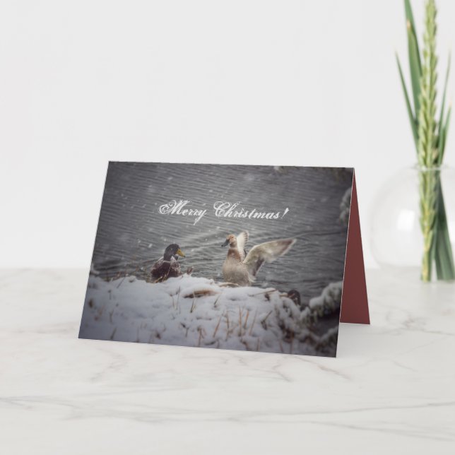 Mr and Mrs Duck Holiday Card (Front)