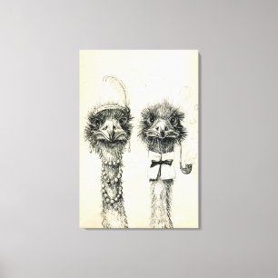 Mr. and Mrs. Ostrich Canvas Print