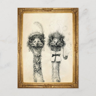 Mr. and Mrs. Ostrich framed Postcard