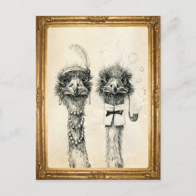 Mr. and Mrs. Ostrich framed Postcard (Front)