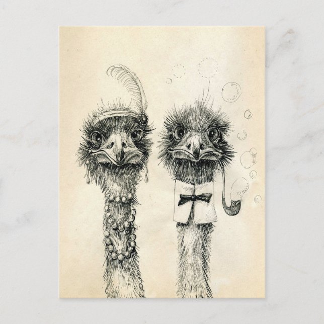 Mr. and Mrs. Ostrich Postcard (Front)