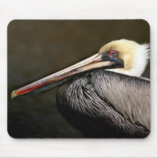 Mr. Attitude - Brown Pelican Mousepad