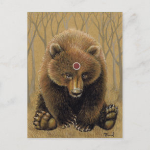 Mr Bear Postcard