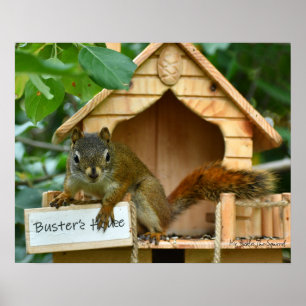 Mr. Bickles The Squirrel poster