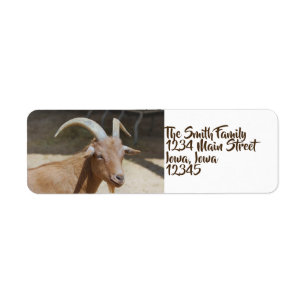 Mr.Bill Return Address Label