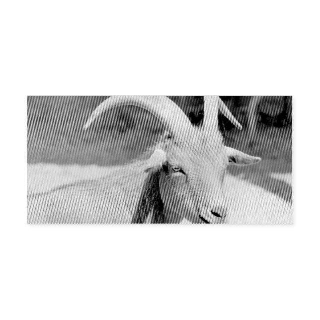 Mr.Bill Self-inking Stamp (Design)