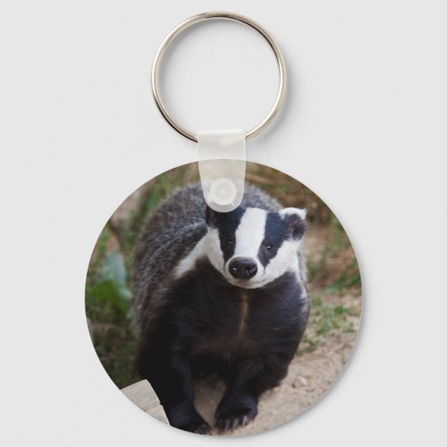Mr Brock Keyring (Front)