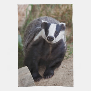 Mr Brock Kitchen Towel