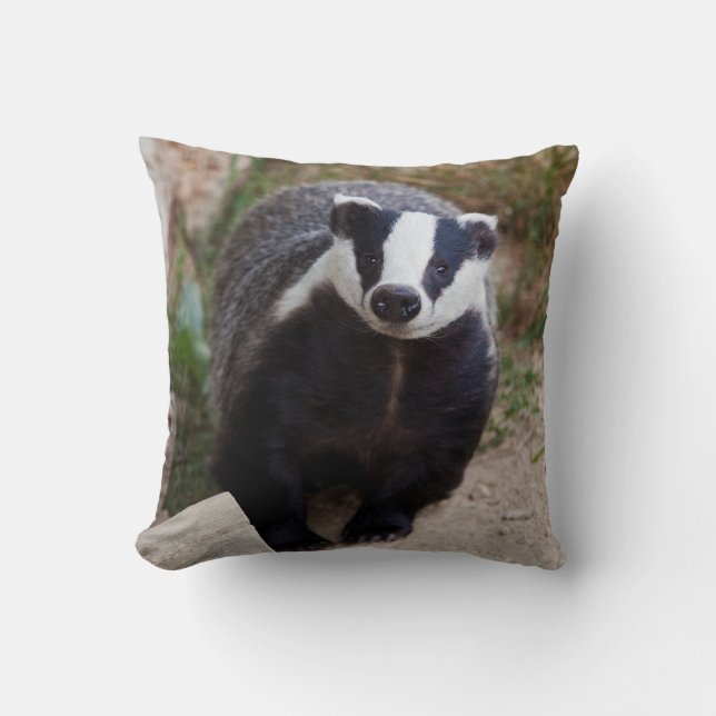 Mr Brock Pillow (Front)
