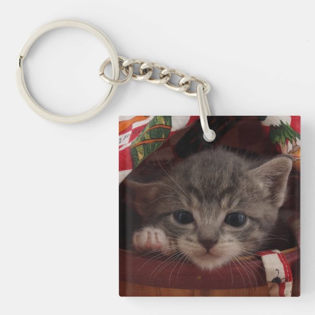 Mr. Brown Key Ring (Front)