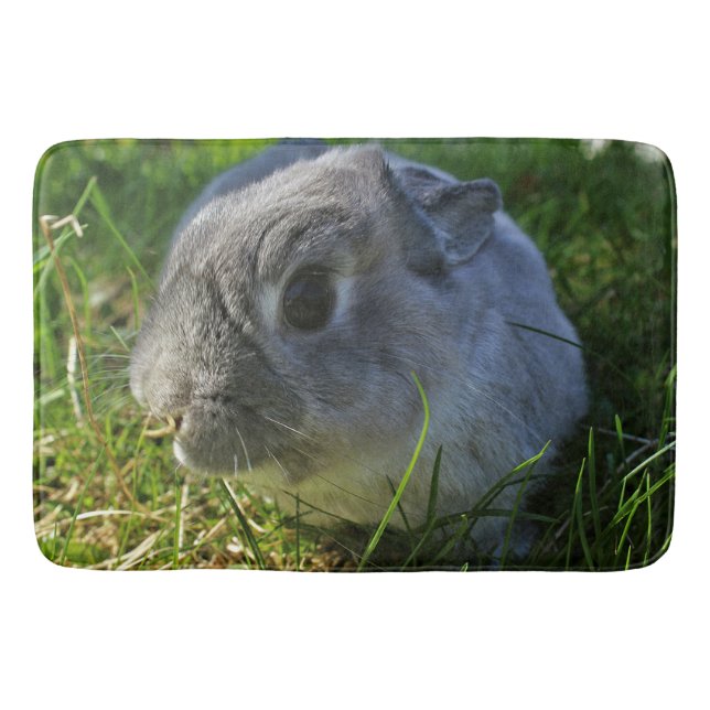 Mr. Bunny's Close Up Bath Mat (Front)
