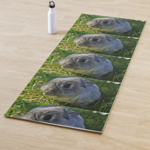Mr. Bunny's Close Up Yoga Mat