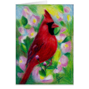 Mr. Cardinal Blank Card